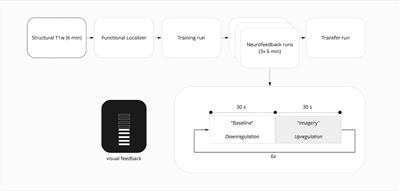Neurofeedback-dependent influence of the ventral striatum using a working memory paradigm targeting the dorsolateral prefrontal cortex